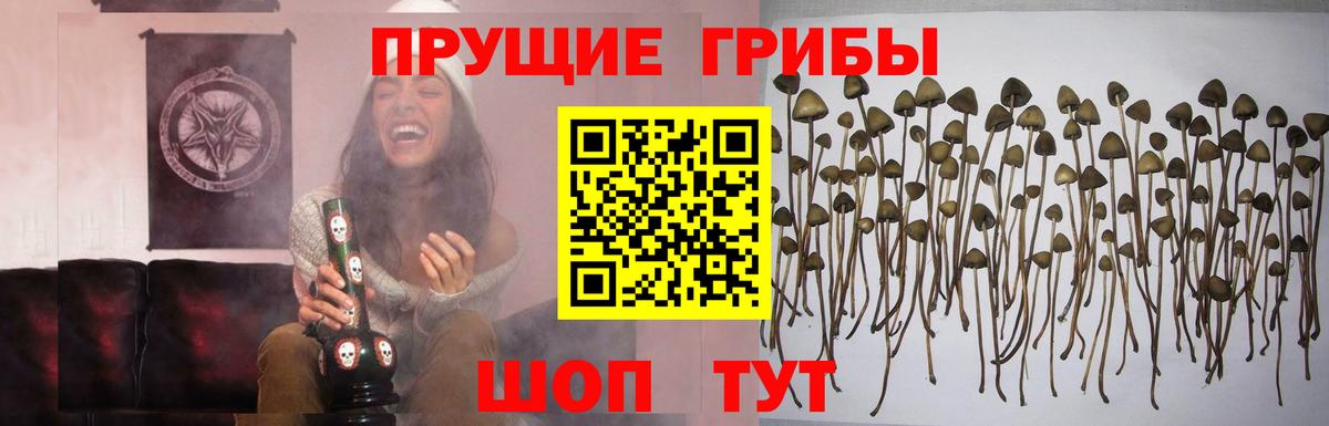 Псилоцибиновые грибы прущие грибы  Галлюциногенные грибы мицелий  Вход с VPN  Мариинск 